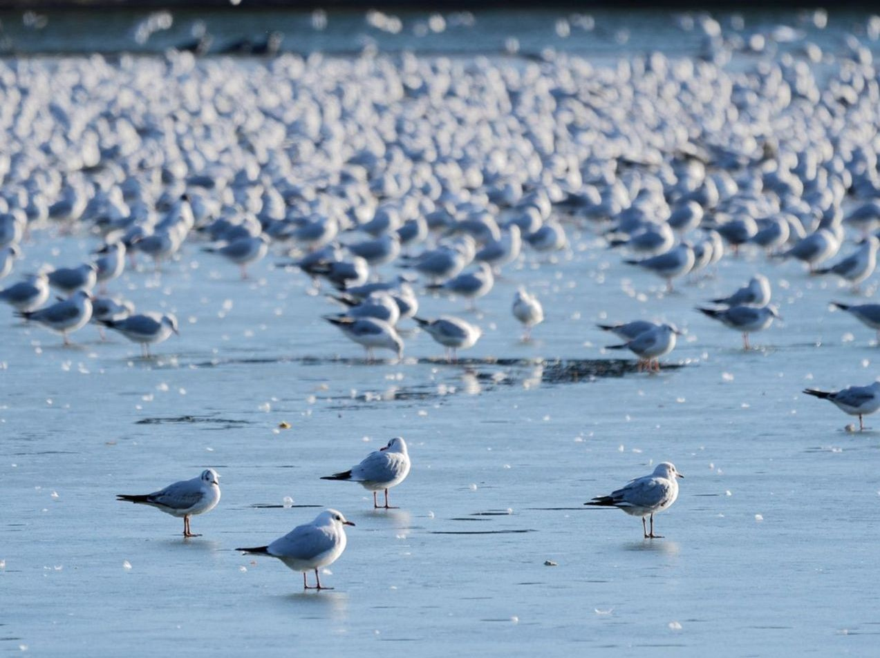 Pescadores em um lago de montanha ao entardecer