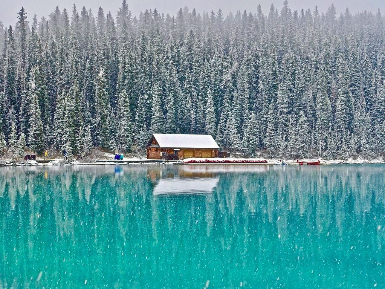 Cabana na floresta com vista para lago de montanha